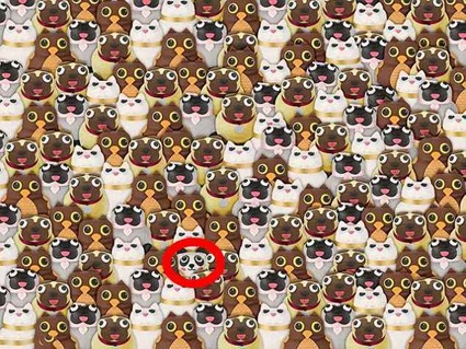 Panda Panda