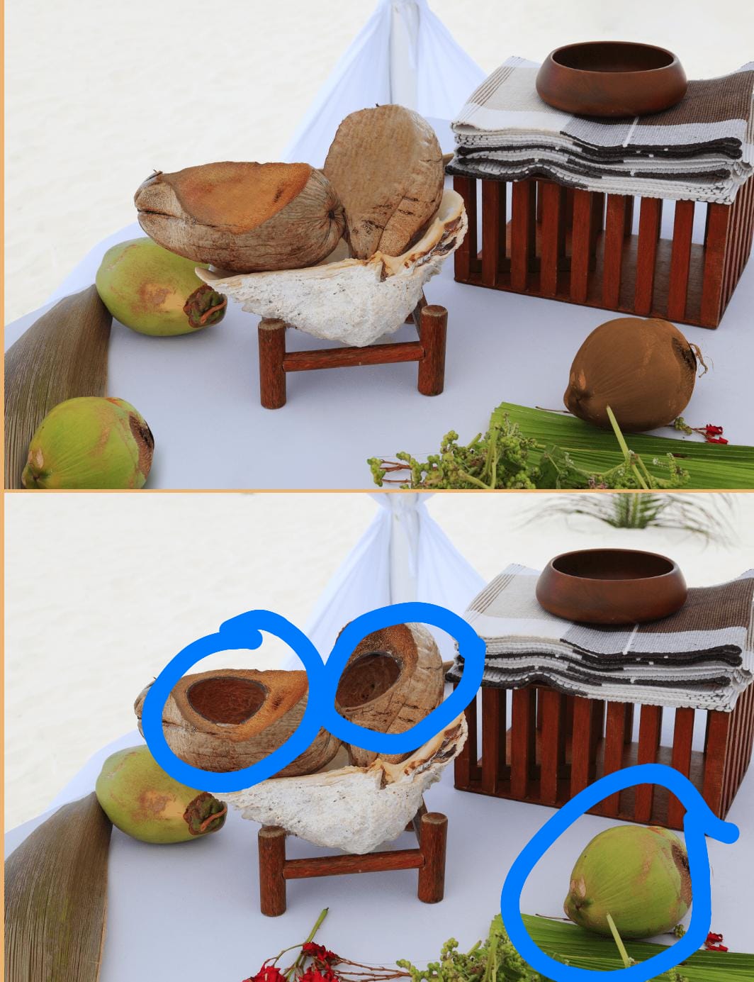Desafio dos três erros: encontre as diferenças entre as imagens dos cocos em 10 segundos Desafio dos três erros (Resultado)
