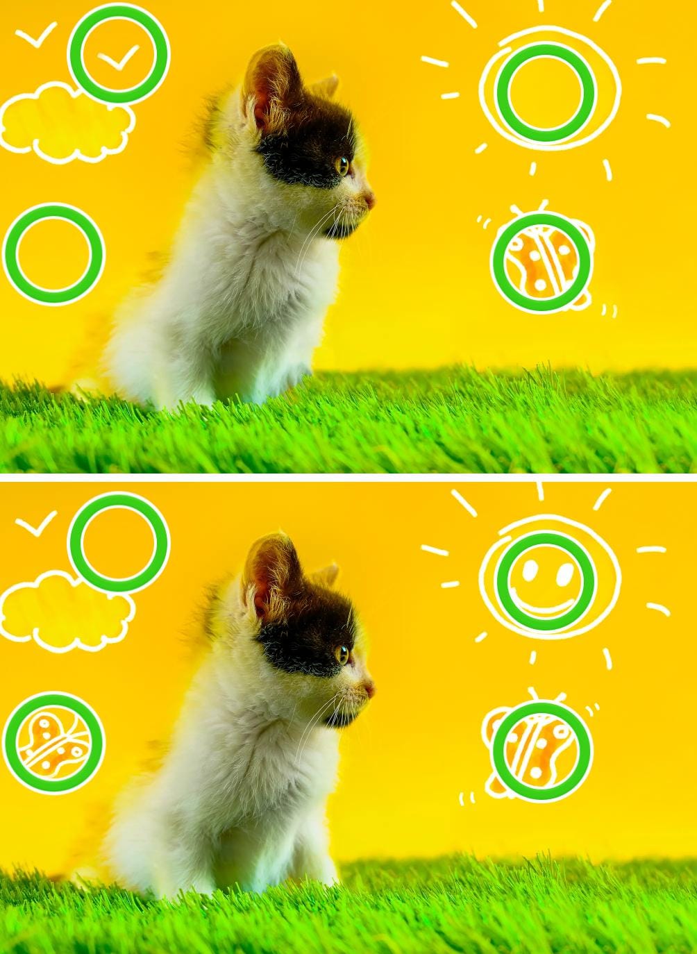 Desafio visual das diferenças entre as imagens: encontre os quatro erros no cachorro em menos de 10 segundos Resultado Desafio visual das diferenças entre as imagens