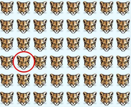 Teste de acuidade visual: encontre o leopardo diferente em menos de 10 segundos Resposta do teste de acuidade visual