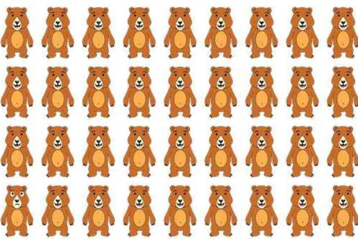 Consegue identificar o urso diferente.