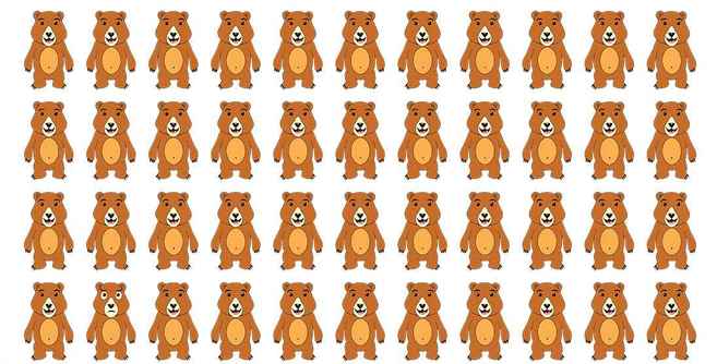 consegue identificar o urso diferente Consegue identificar o urso diferente.