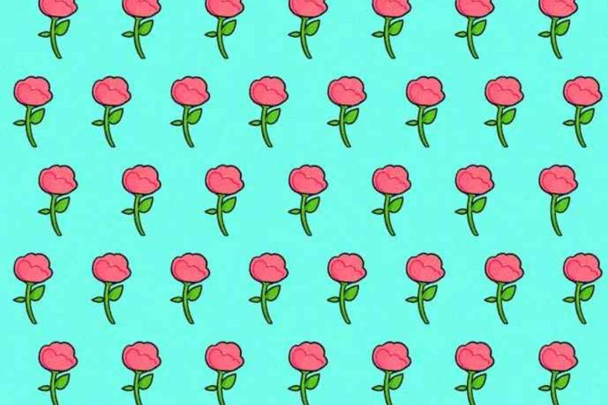 Encontre a rosa diferente neste desafio visual.