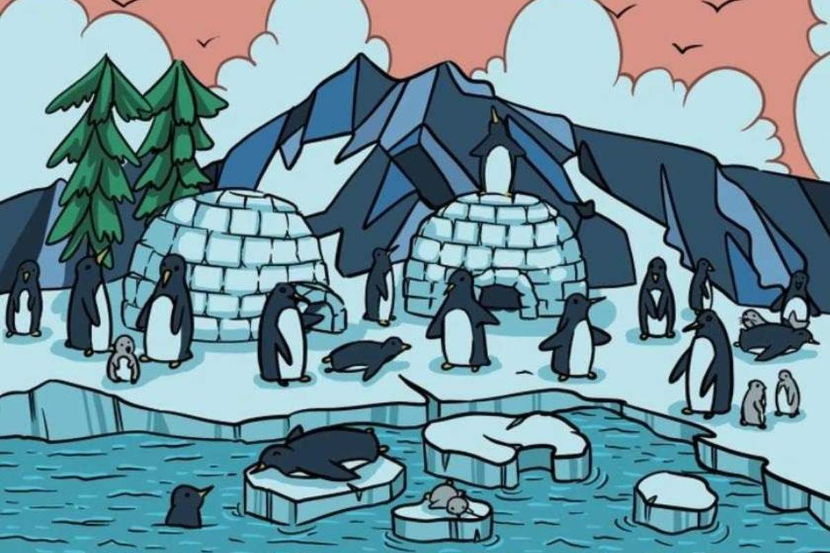 Encontre a foca neste desafio visual.