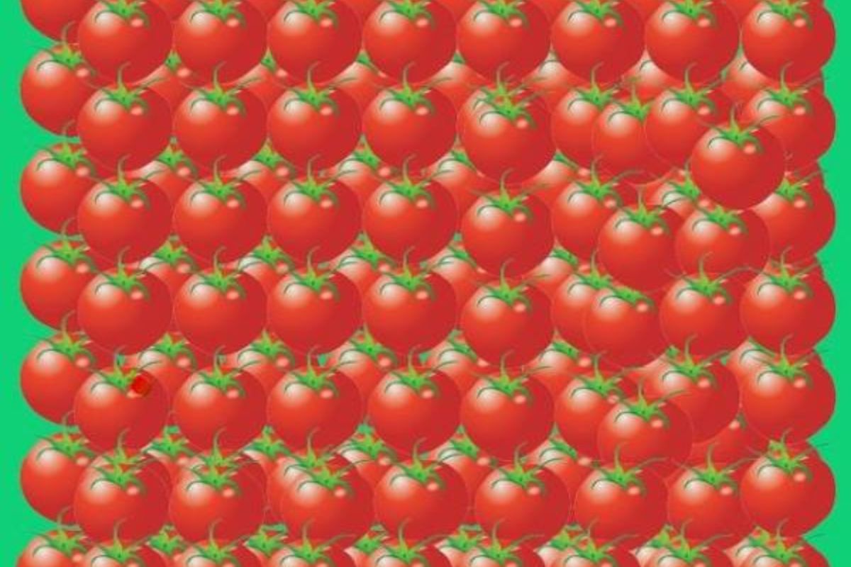 Encontre a maçã entre os tomates.