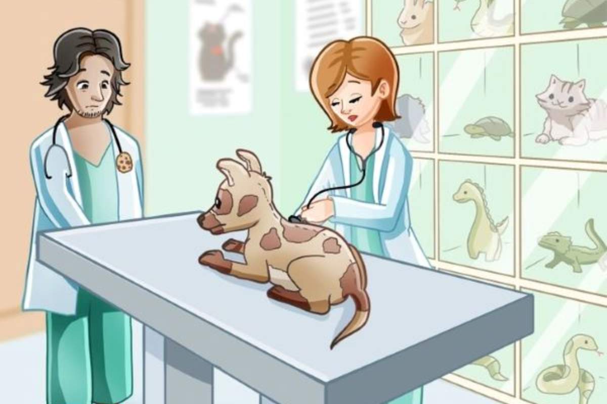 Encontre 3 erros na clínica veterinária.