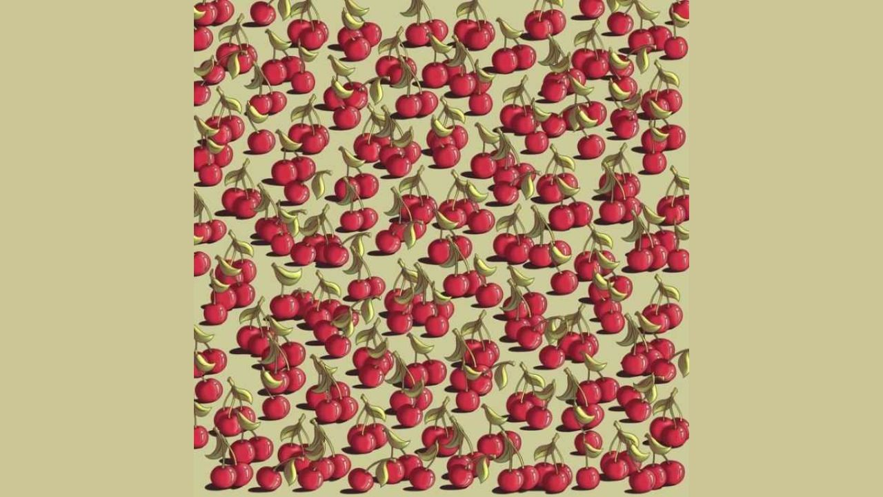 ilusão tomate () ilusão tomate ()