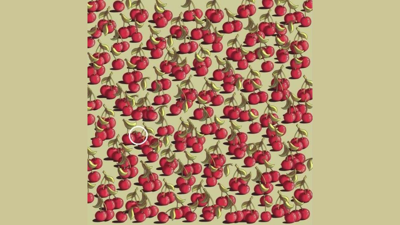ilusão tomate () ilusão tomate ()