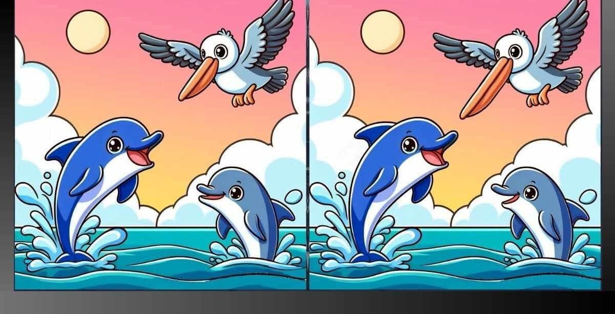 imagens do mar imagens do mar