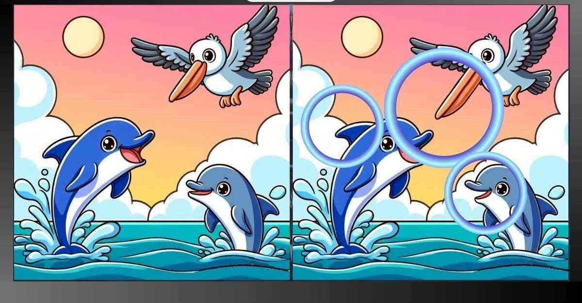 imagens do mar imagens do mar