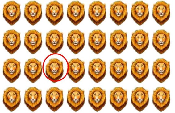 leão diferente leão diferente