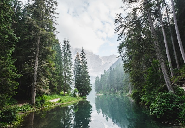 luca bravo ESkwayOAs unsplash