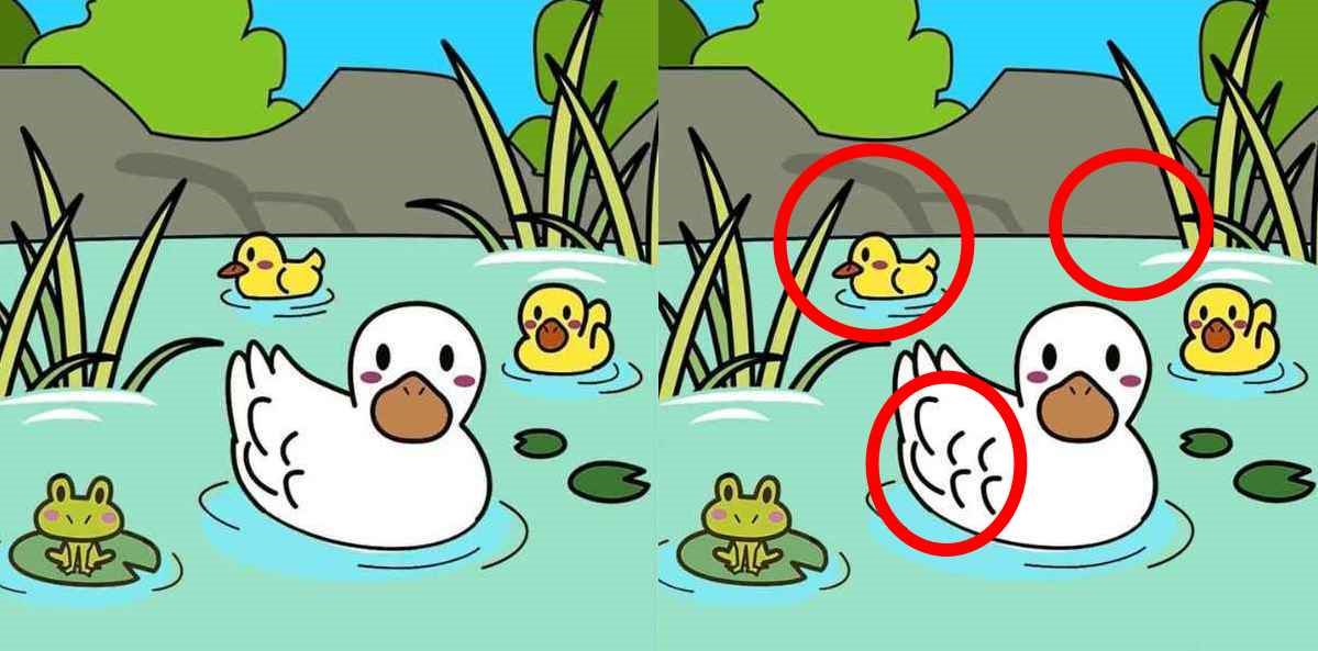 patinho na lagoa patinho na lagoa