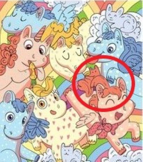 raposa raposa