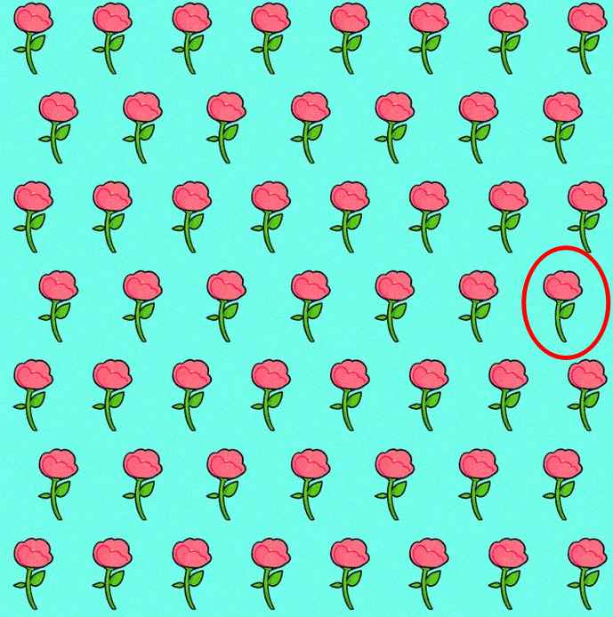 resposta de onde esta a rosa Resposta de onde está a rosa diferente.