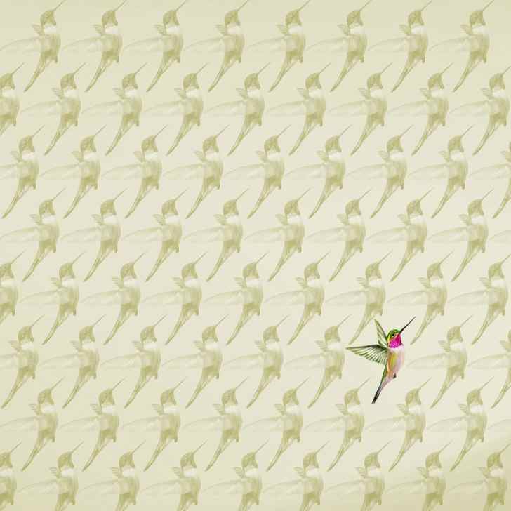 resposta de onde esta o beija flor diferente neste desafio Resposta de onde está o beija-flor diferente neste desafio.