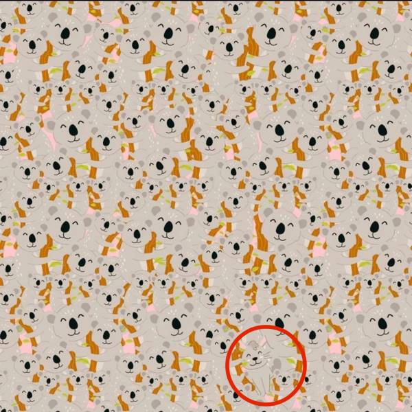 resposta de onde esta o coelho neste desaifo visual Resposta de onde está o coelho neste desafio visual.