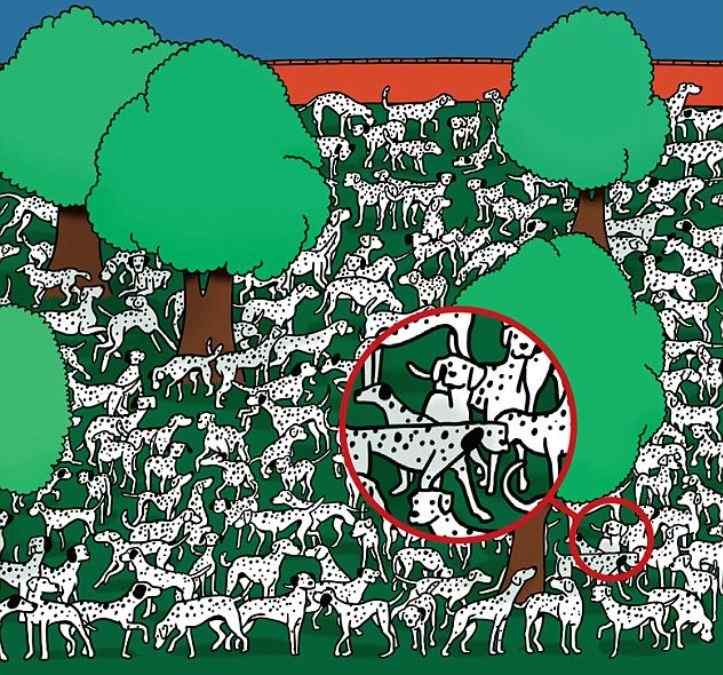 resposta de onde esta o dalmata sem manchas Resposta de onde está o dálmata sem manchas neste desafio.