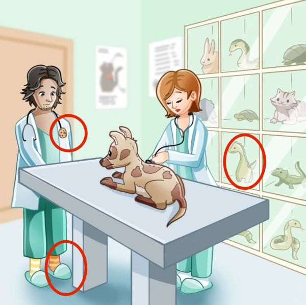 resposta de onde esta o erro na clinica veterinaria Resposta de onde estão os erros na clínica veterinária.