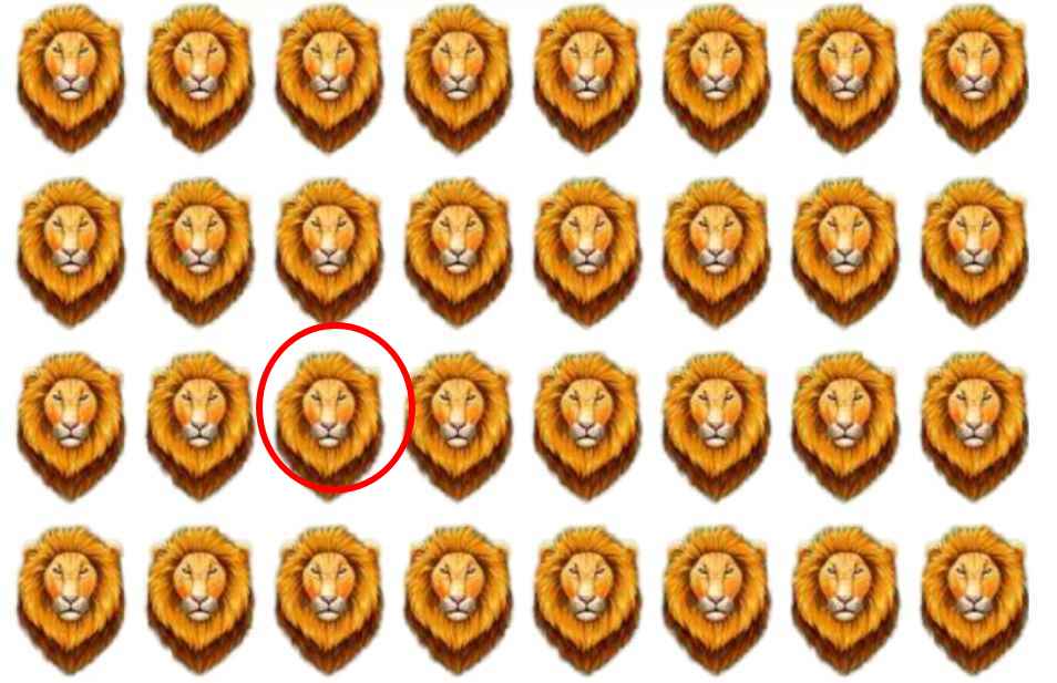 resposta de onde esta o leao diferente Resposta de onde está o leão diferente.