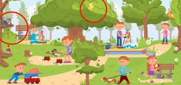 resposta de onde esta o pato e o gato Resposta de onde está o pato e o gato.