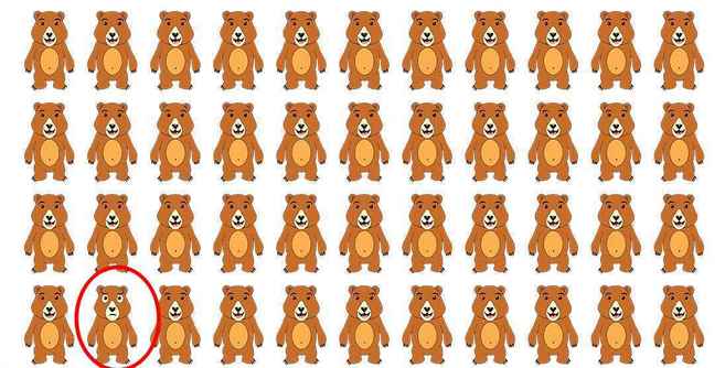 resposta de qual o urso diferente Resposta de qual o urso diferente.