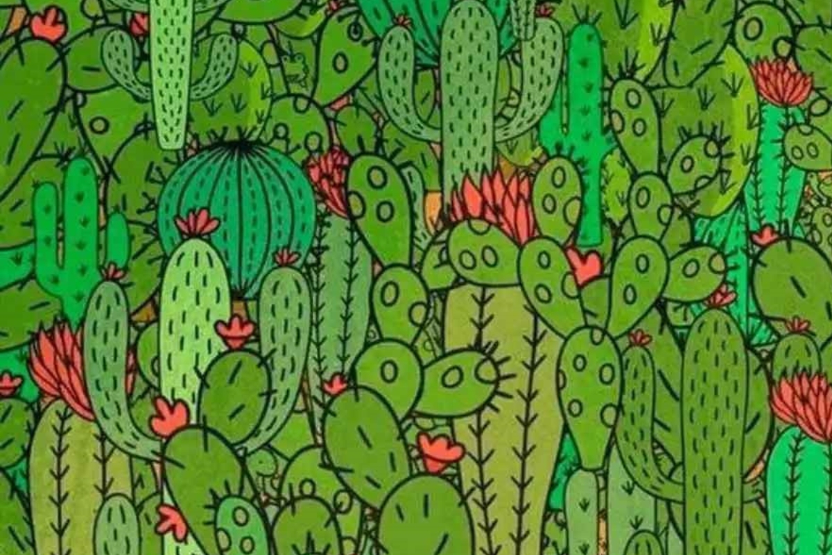 tartaruga escondida