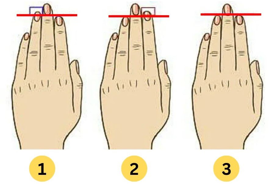 teste de personalidade comprimento do dedo Teste de Personalidade - O Comprimento dos seus Dedos.