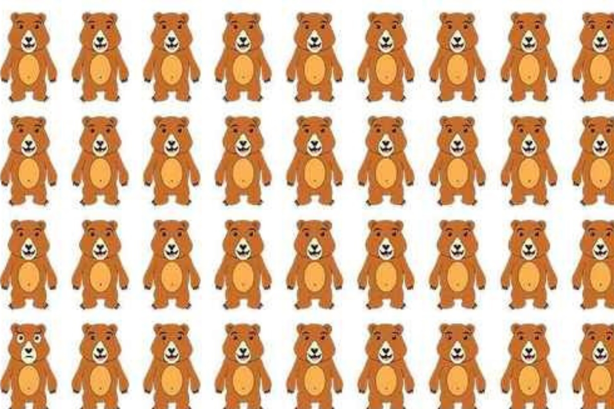 urso diferente