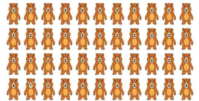 urso diferente urso diferente