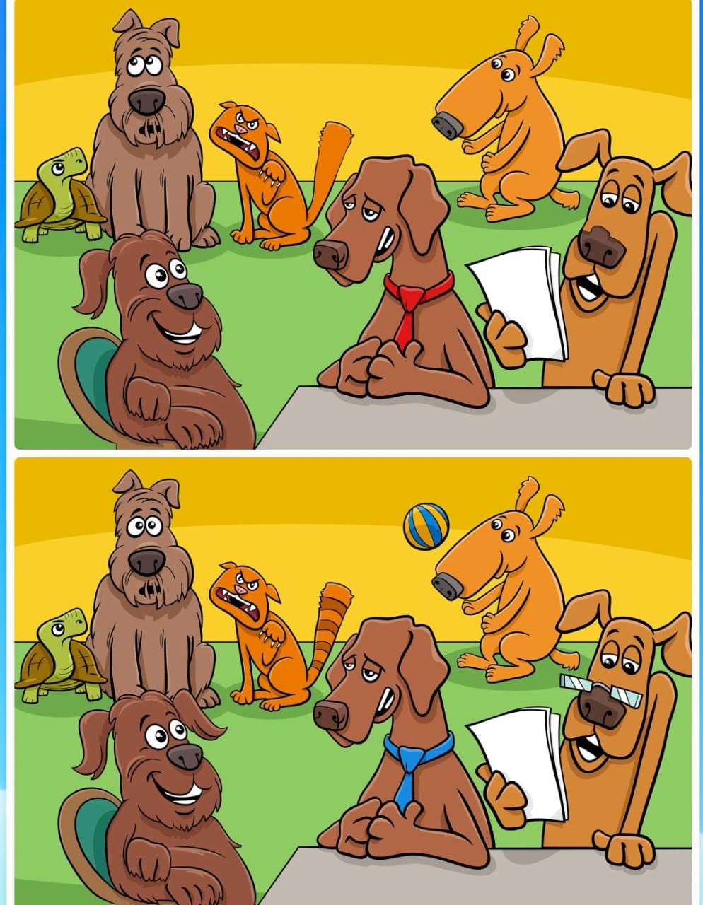 Jogo das diferenças animal Jogo das diferenças animal