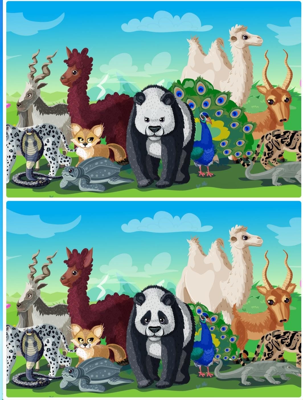 Jogo das diferenças no zoológico Jogo das diferenças no zoológico