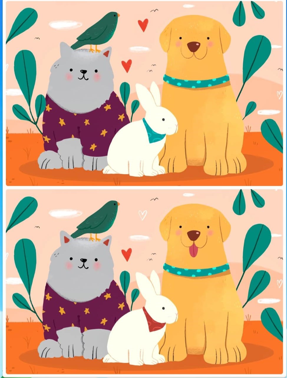 Jogo dos seis erros dos pets Jogo dos seis erros dos pets