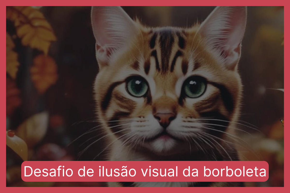 Desafio de ilusão visual da borboleta)