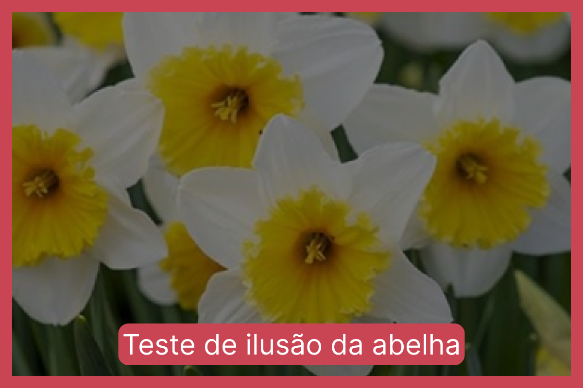 Teste de ilusão da abelha: encontre a abelha na imagem em apenas 10 segundos