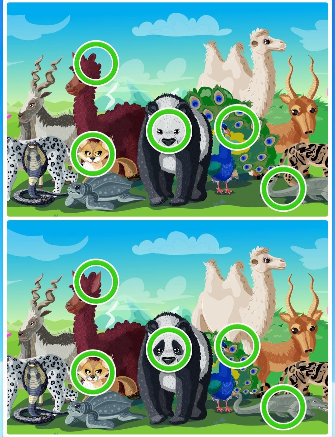 Resultado do jogo das diferenças no zoológico Resultado do jogo das diferenças no zoológico