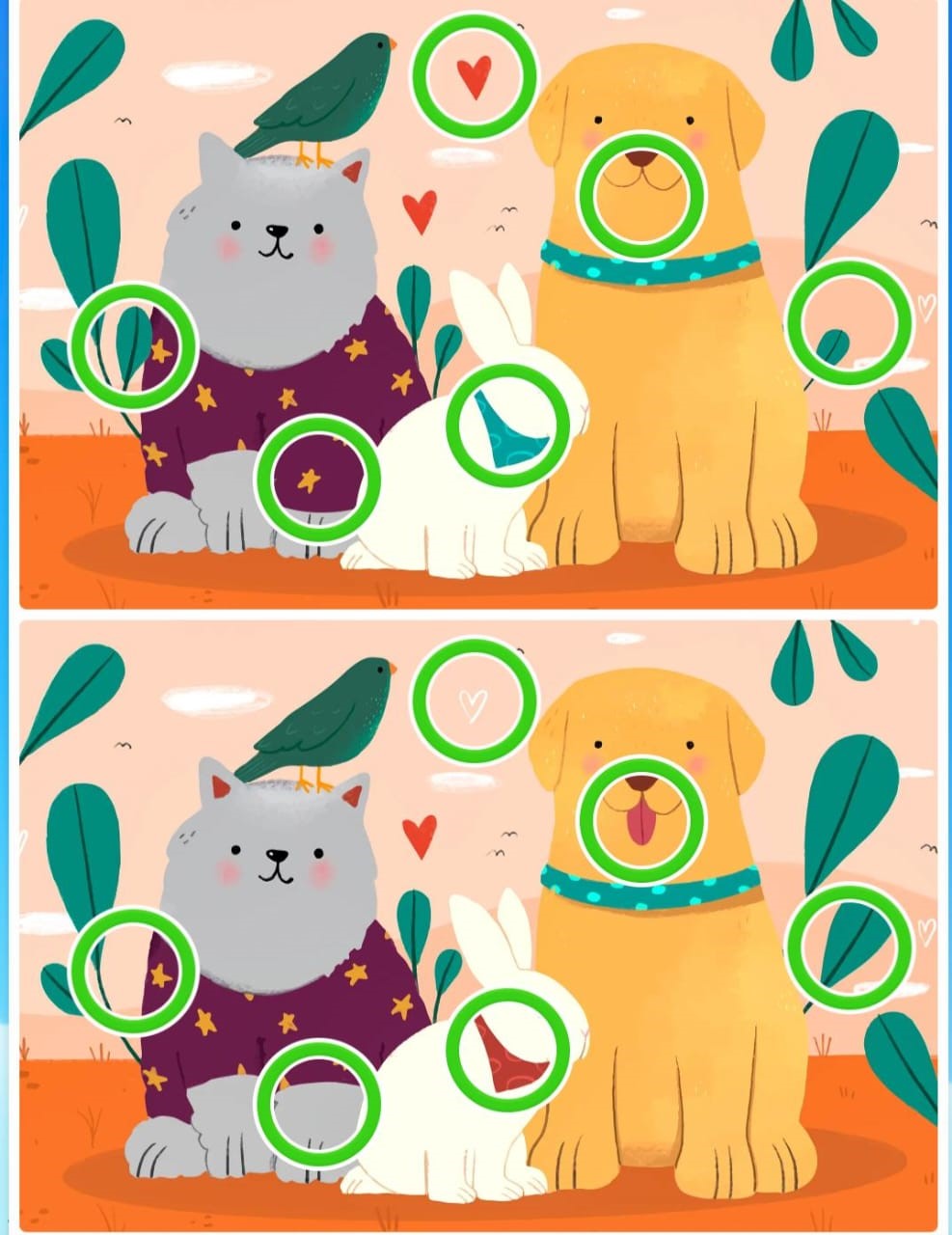 Resultado do jogo dos seis erros dos pets Resultado do jogo dos seis erros dos pets