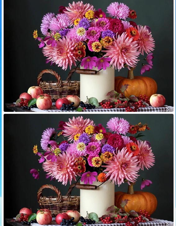 Jogo das diferenças da flor: encontre 8 erros em menos de 10 segundos Desafio do Jogo das diferenças da flor