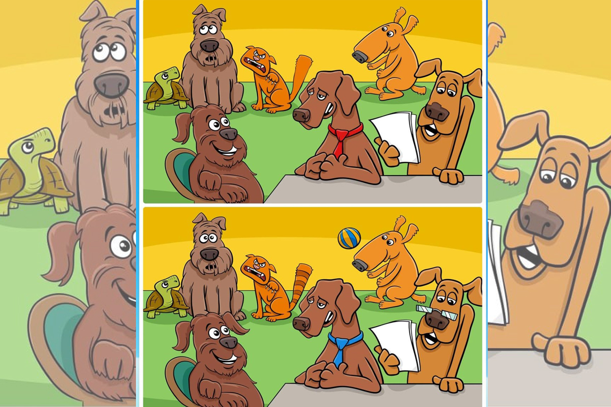 Confira o Jogo das diferenças animal