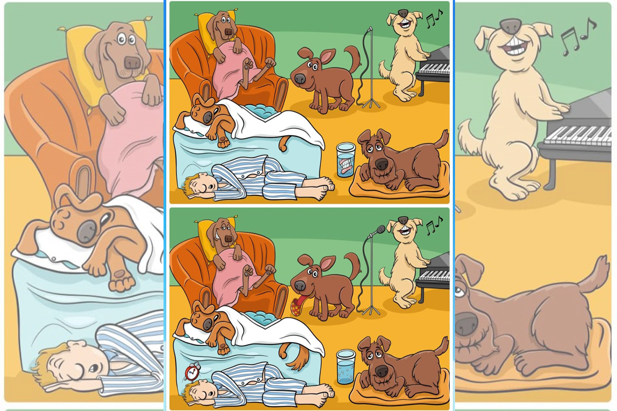 Confira o Jogo dos seis erros dos cães