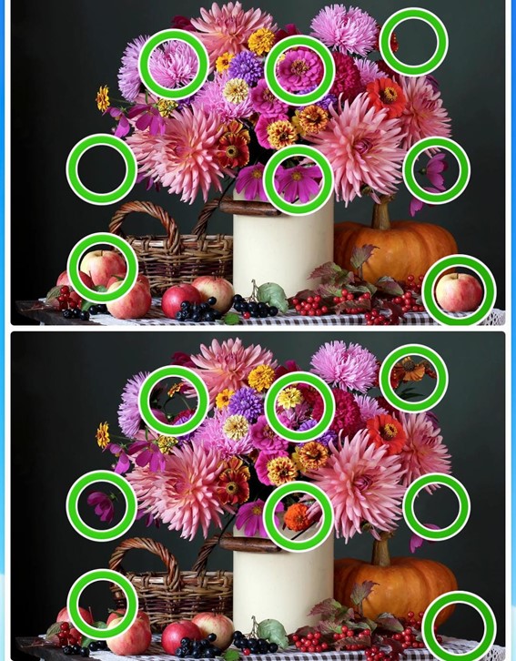 Jogo das diferenças da flor: encontre 8 erros em menos de 10 segundos Resultado do Jogo das diferenças da flor