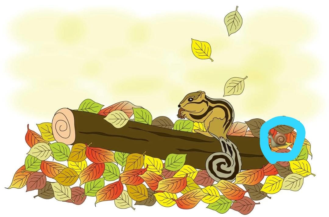 Teste de ilusão de ótica do caracol: encontre o caracol escondido na imagem em 10 segundos Resultado do Teste de ilusão de ótica do caracol