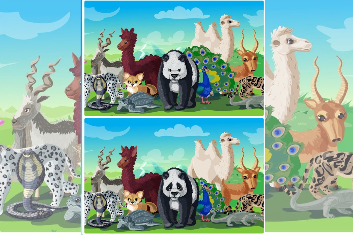 Veja agora o Jogo das diferenças no zoológico