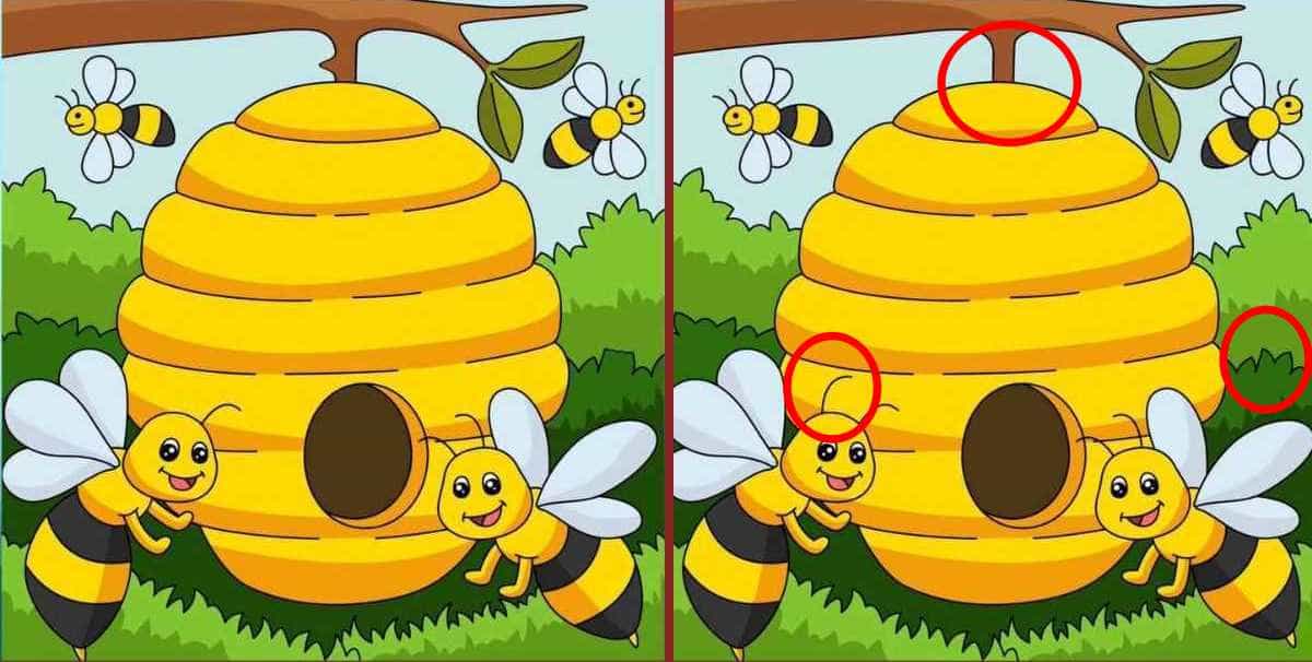 abelhas encontre as diferencas resposta Jogo das abelhas