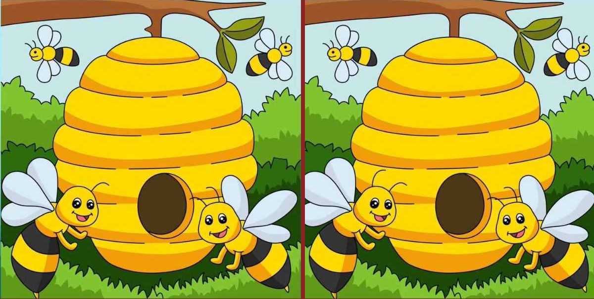 abelhas encontre as diferencas Jogo das abelhas