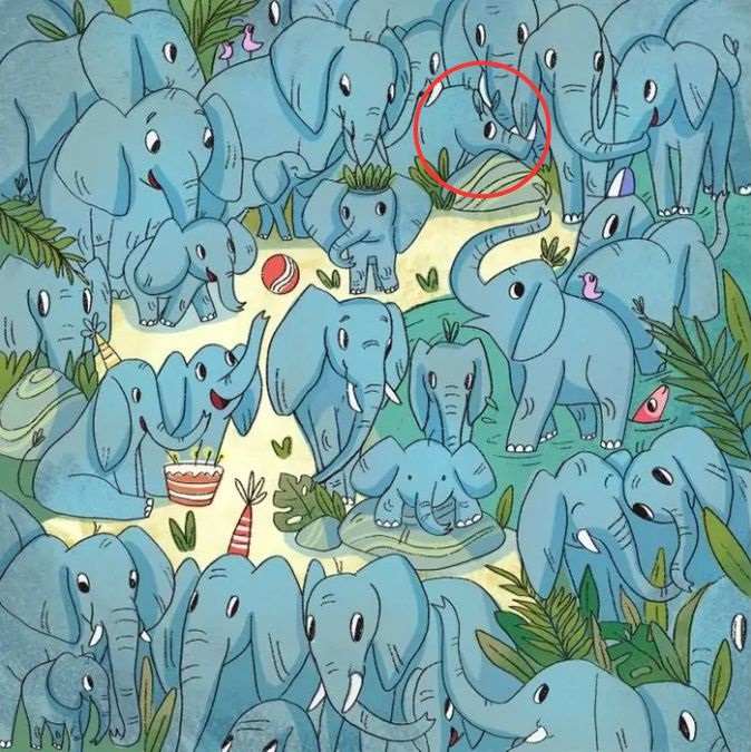 desafio encontre o rinoceronte resposta Encontre o rinoceronte