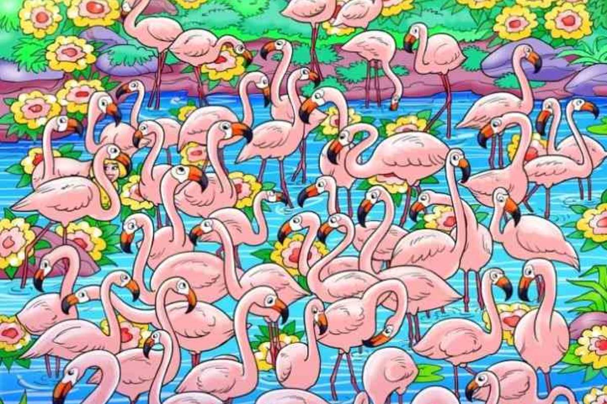 Encontre a menina entre os flamingos.