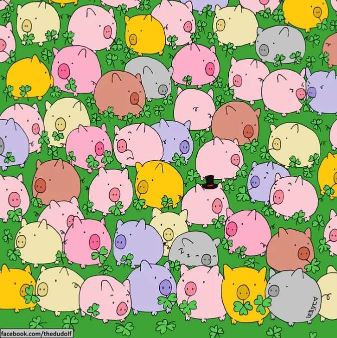 encontre o trevo de quatro folhas entre os porquinhos Encontre o trevo de quatro folhas neste desafio.