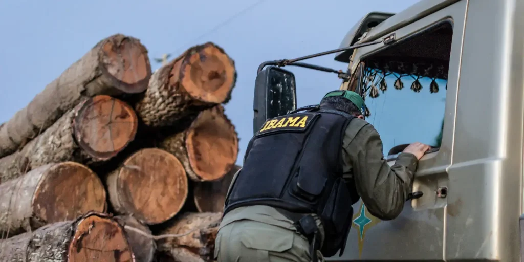 Concurso Ibama Novo Concurso Ibama deve ter edital para mais de 450 vagas.
