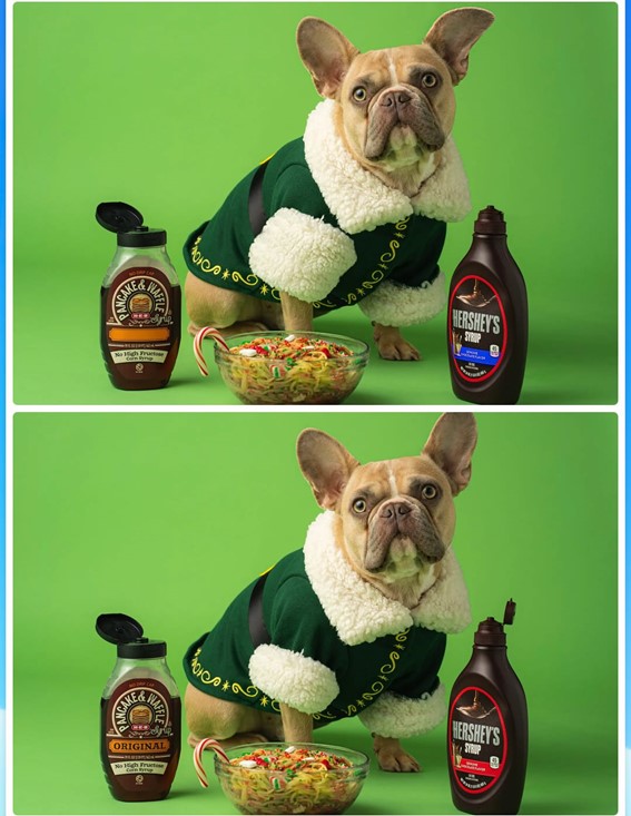 imagens do cachorro imagens do cachorro